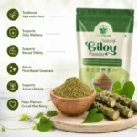 Natural Giloy Powder - Image 3