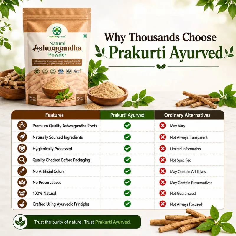 Daily Wellness Support For An Active Lifestyle