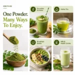 Natural Moringa Powder - Image 4
