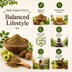 Natural Trifala Powder - Image 7